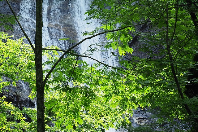 写真 オサノ沢滝