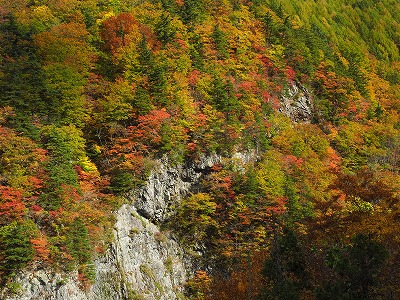 写真 滝の沢紅葉