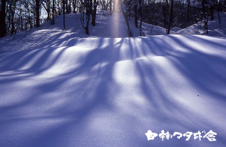 写真 雪と光