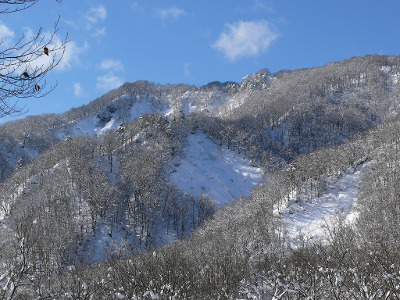 写真 青空と雪景色
